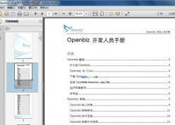 Openbiz 应用开发手册 v2.4 中英文