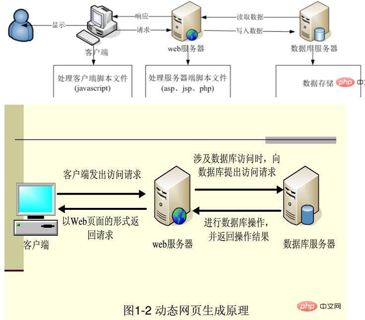 新手必学的php基础知识