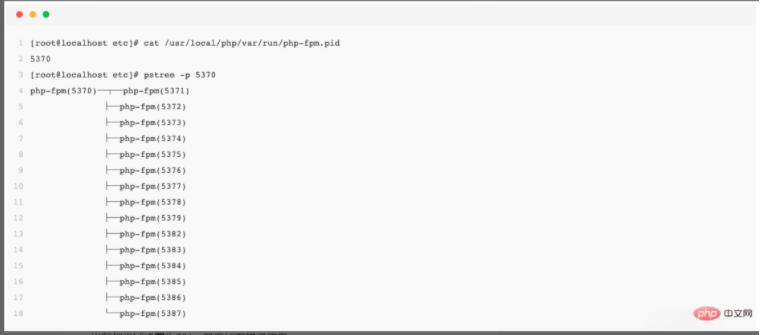 PHP 进程管理器 PHP-FPM