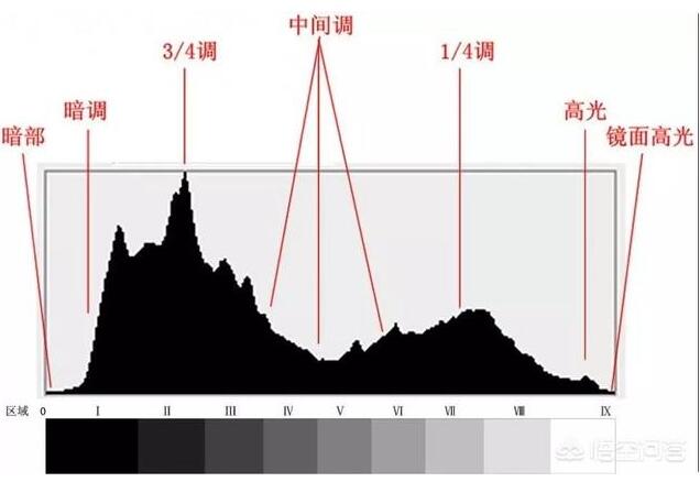 如何快速学习单反数码相机基础操作？