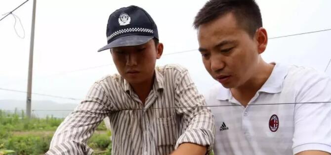 年轻人回农村担任村支书有没有发展的前途呢？
