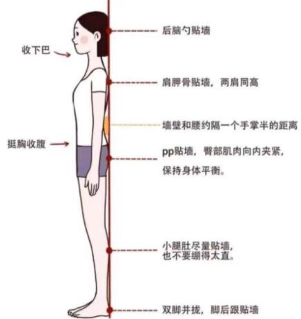 中年人该如何运动保持身体不发福？