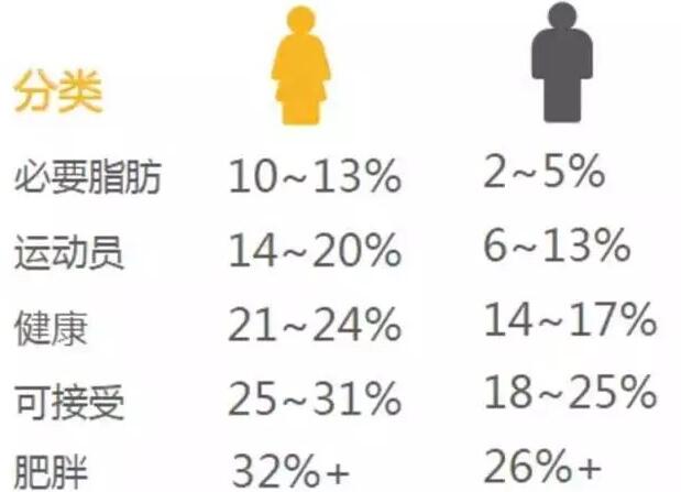 想要中年不发福应该保持怎样的习惯