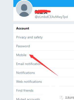 怎么上推特(Twitter的注册流程和引流方法)