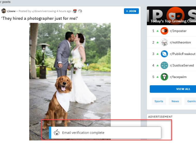 Reddit怎么注册?国内最新注册教程