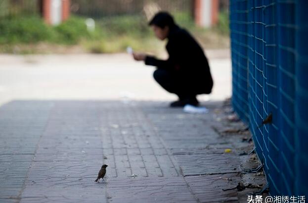 企业快要倒闭的种种外在表现是什么