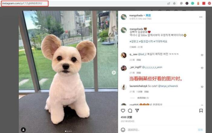 只需这3步教你怎么保存Instagram（ins）照片/视频？