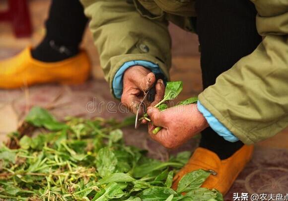 最致命的穷人思维有哪些？