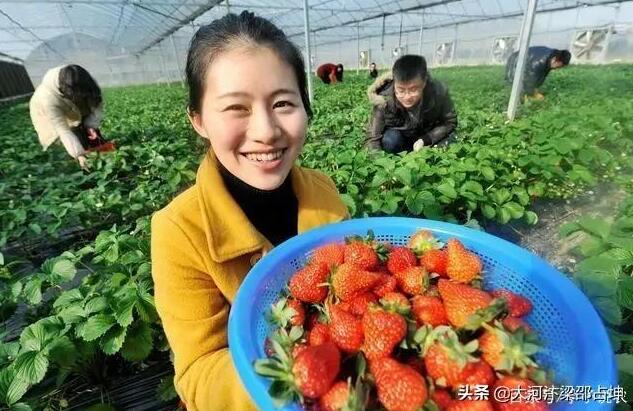 在农村干什么生意最稳定又最赚钱