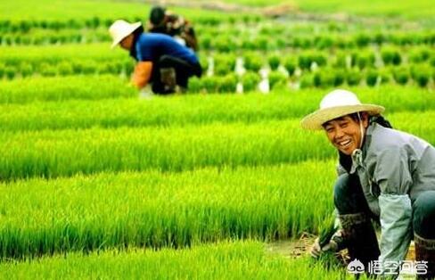 在农村有100万存款算是有钱人吗